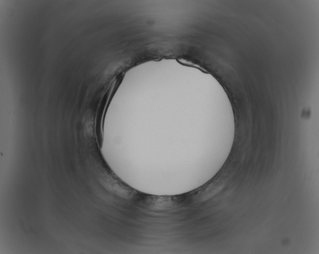 X0000094320384200711241812