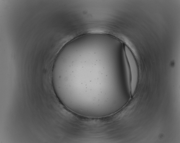 X0000094320385200711241812