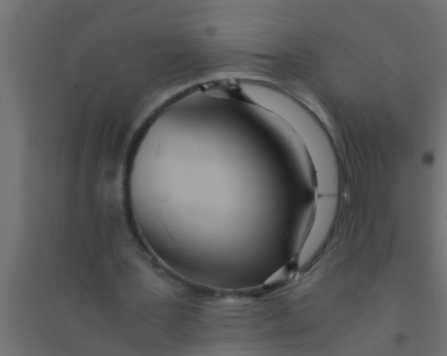 X0000094320387200711241811