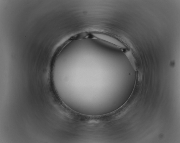 X0000094320388200711241811
