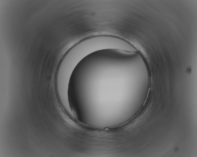 X0000094320389200711241811