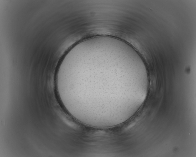 X0000094320390200711241811