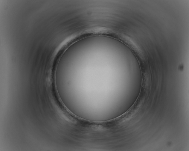 X0000094320392200711241811