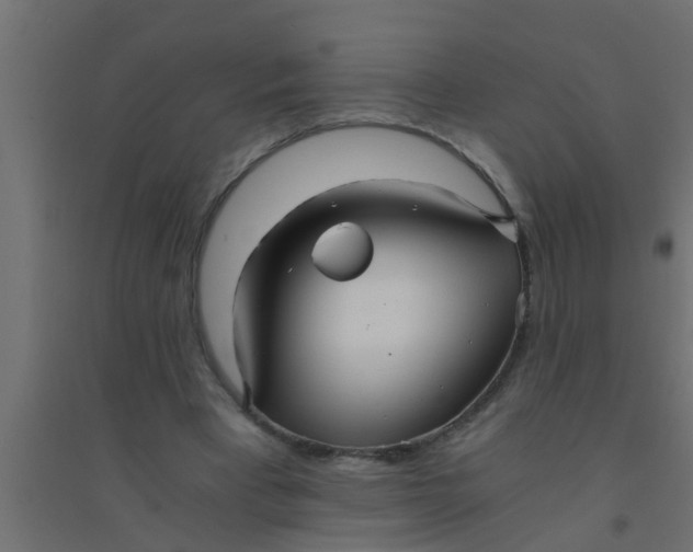 X0000094320393200711241811
