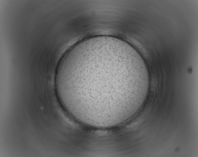 X0000094320394200711241811