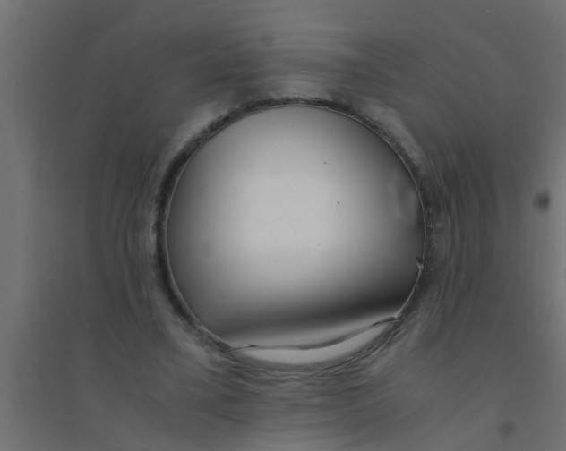 X0000094320395200711241811