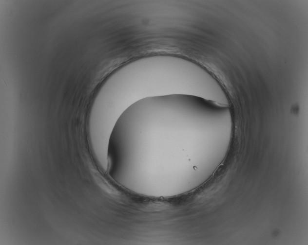 X0000094320397200711241811
