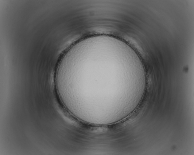 X0000094320398200711241811