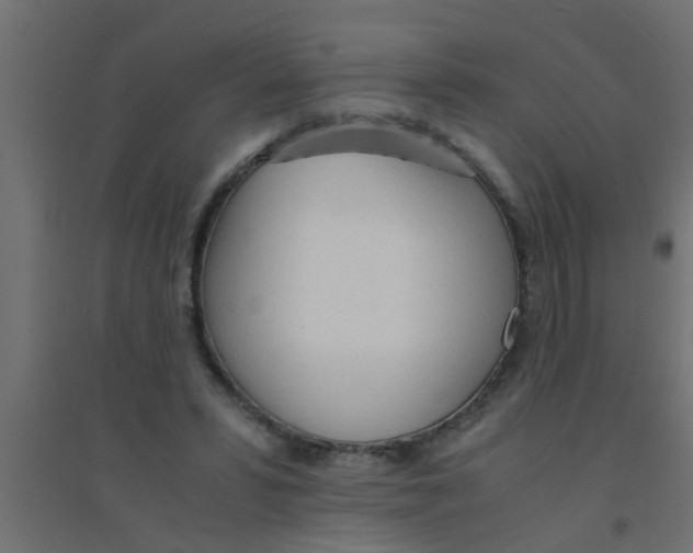 X0000094320399200711241811