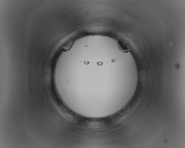 X0000094320400200711241811