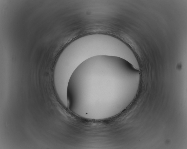 X0000094320401200711241811