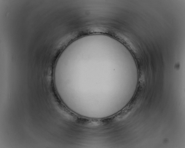 X0000094320402200711241811