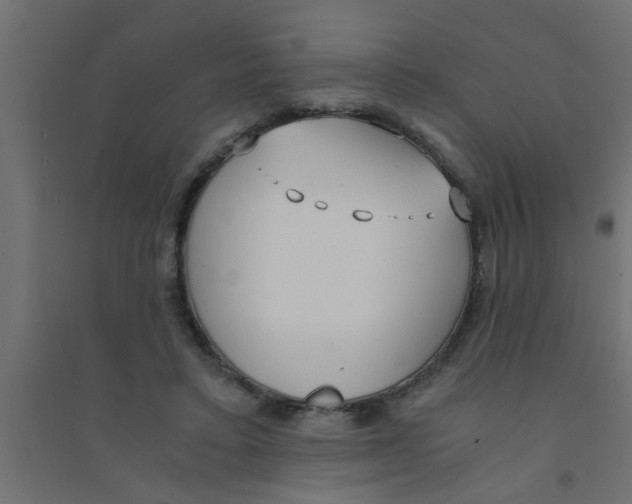 X0000094320403200711241811