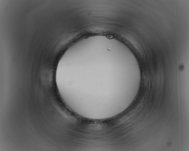 X0000094320404200711241811