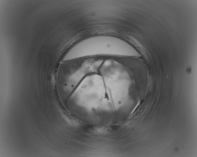 X0000094320405200711241811