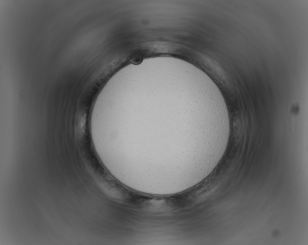 X0000094320406200711241811
