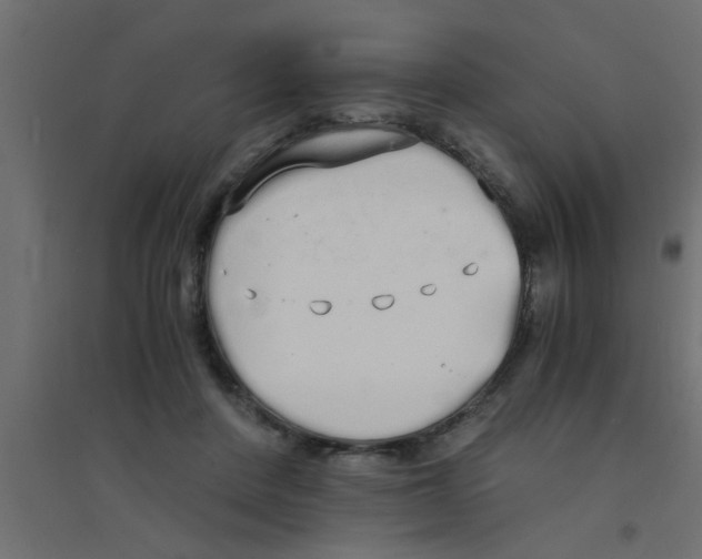 X0000094320408200711241811