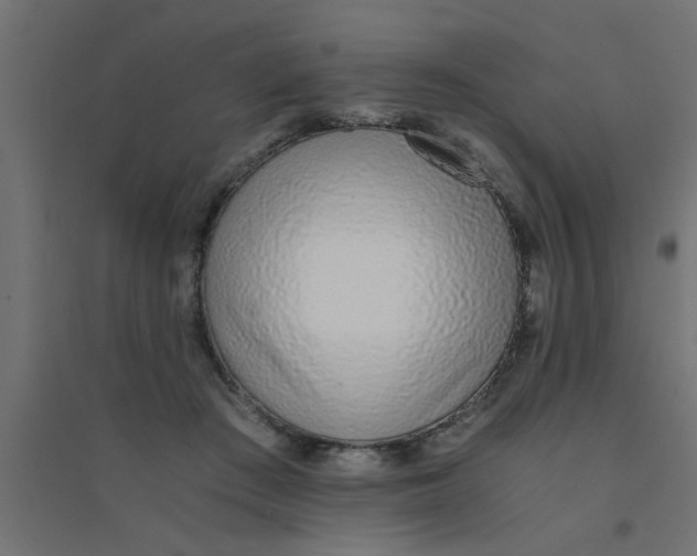 X0000094320409200711241811