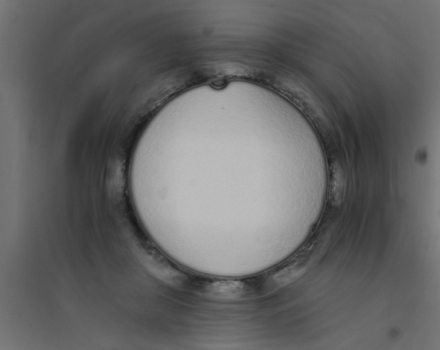 X0000094320410200711241811