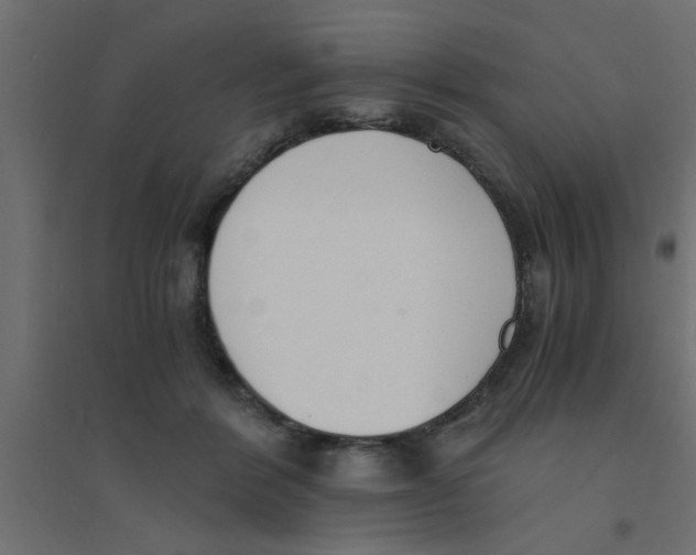 X0000094320412200711241811