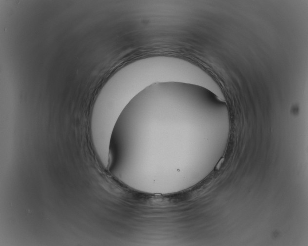 X0000094320413200711241811