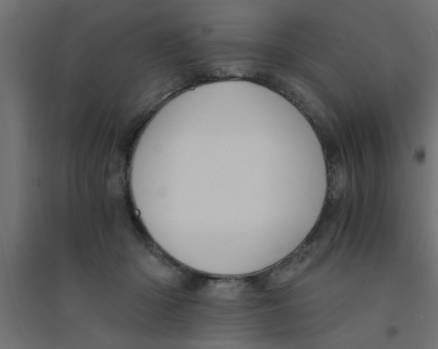 X0000094320414200711241811