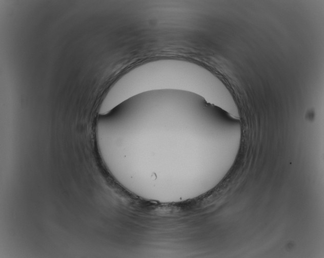 X0000094320415200711241811
