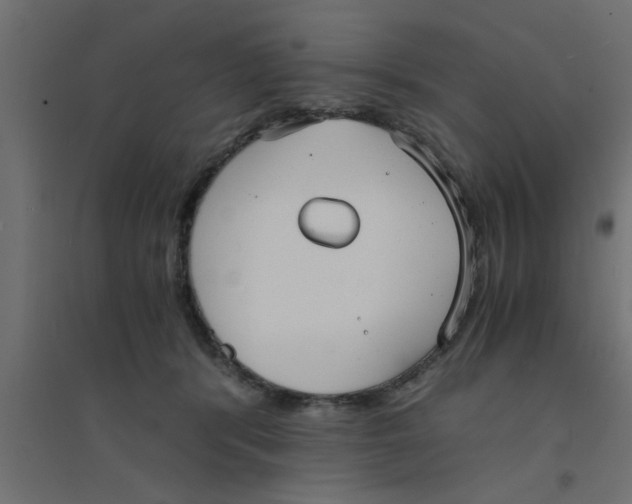 X0000094320416200711241811