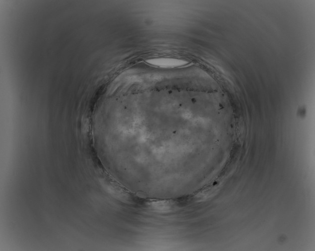 X0000094320417200711241811