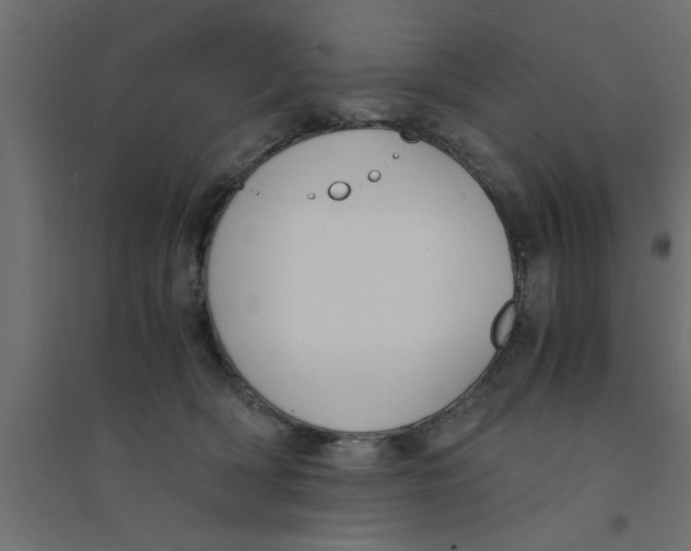 X0000094320418200711241811