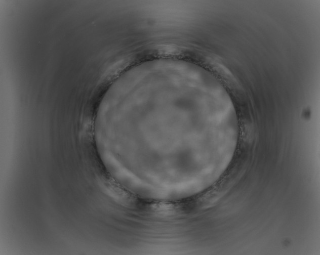 X0000094320419200711241811