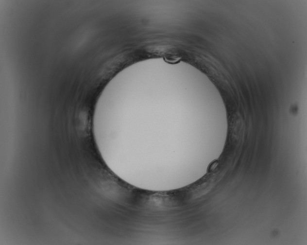 X0000094320420200711241811