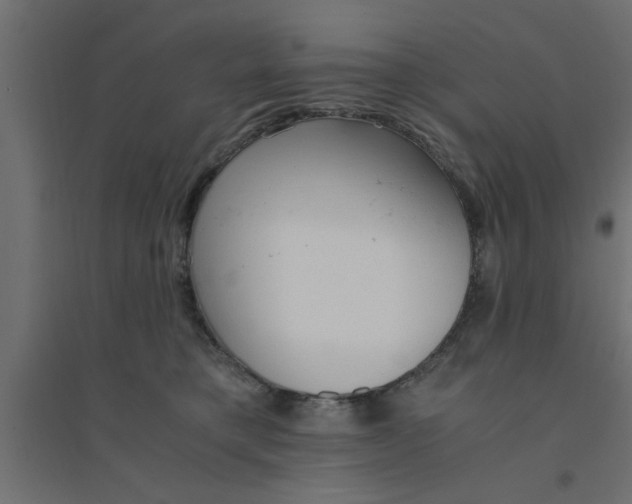 X0000094320421200711241811