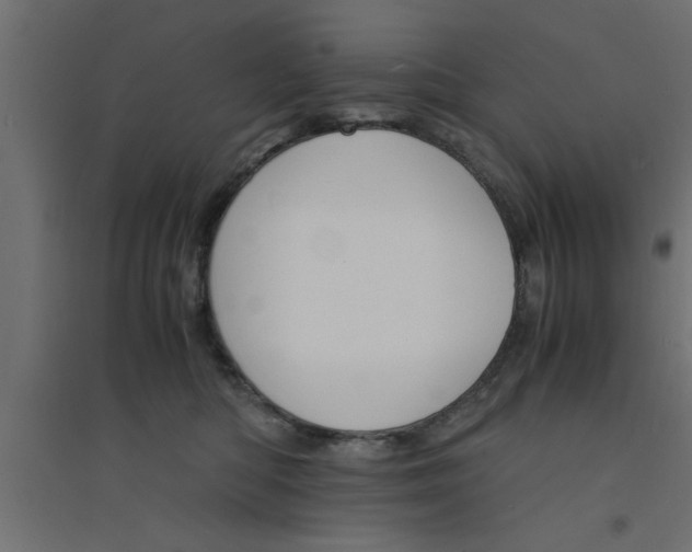 X0000094320422200711241811