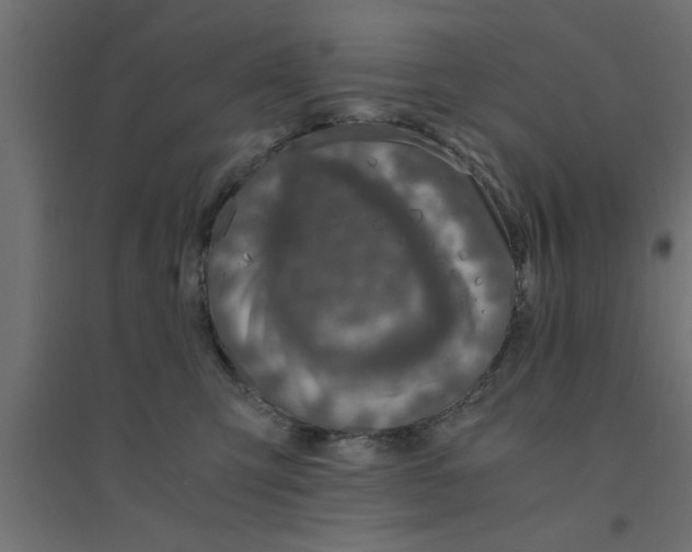 X0000094320423200711241811