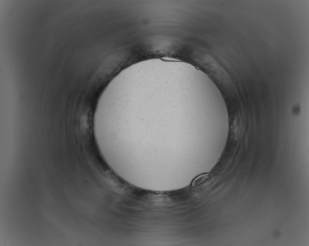 X0000094320424200711241811