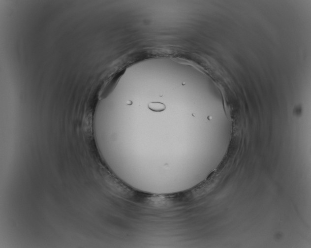 X0000094320425200711241811