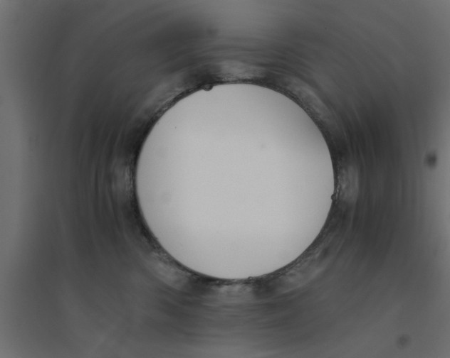 X0000094320426200711241811