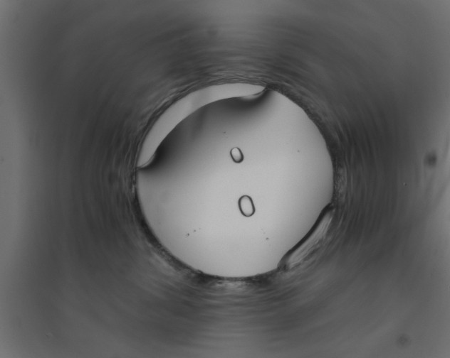 X0000094320428200711241811