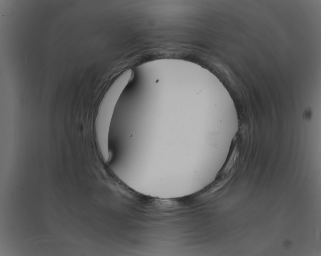 X0000094320429200711241811