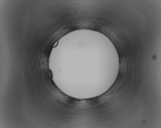 X0000094320430200711241811
