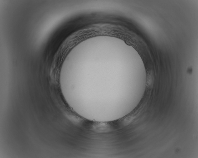 X0000094320431200711241811