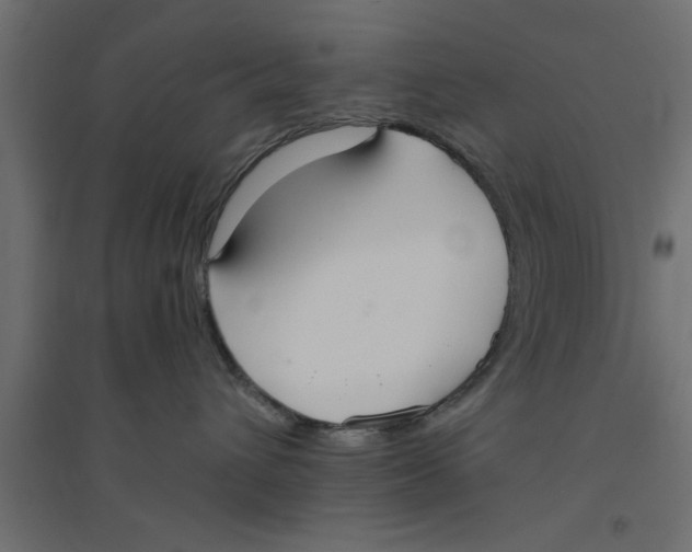 X0000094320432200711241811