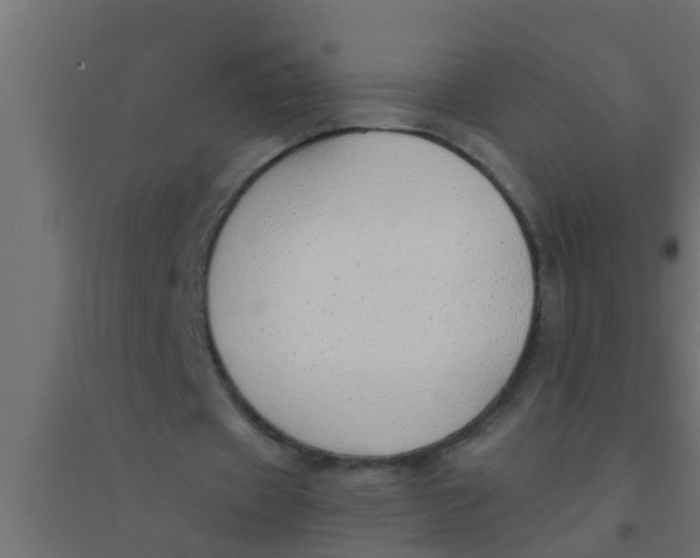X0000094320433200711241810