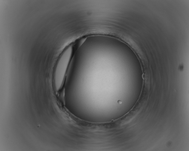 X0000094320434200711241810