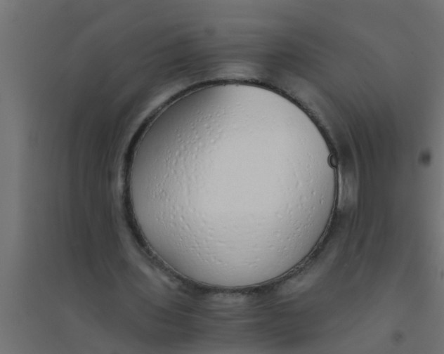 X0000094320435200711241810