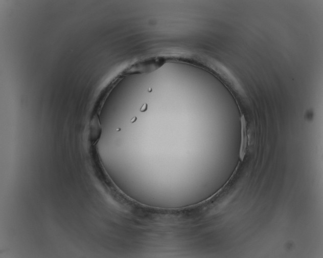 X0000094320436200711241810
