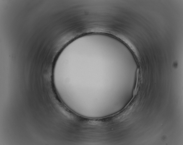 X0000094320437200711241810
