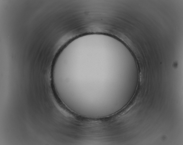 X0000094320438200711241810