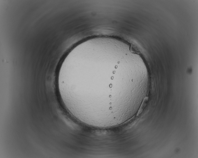 X0000094320439200711241810